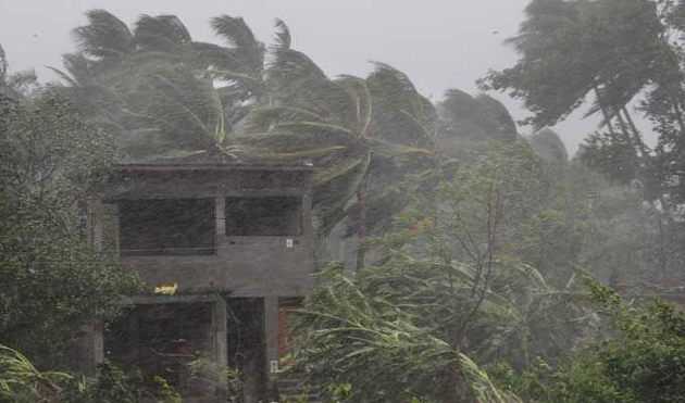 Cyclone Fani Damage Photos